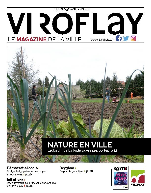 Pages from VIROFLAY_38_BD.pdf